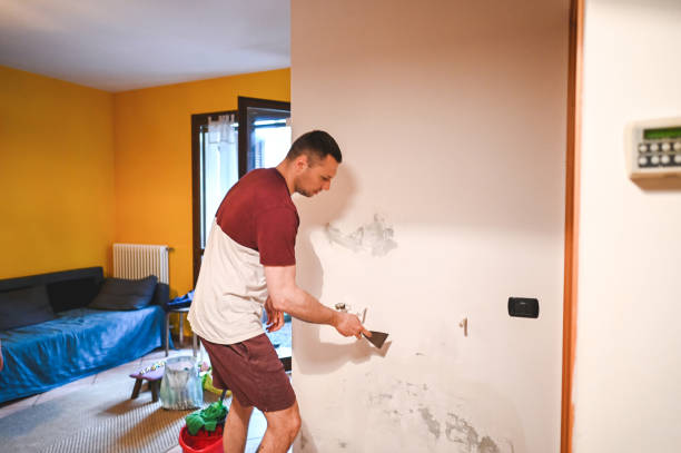 Best Post-Flood Mold Remediation in Peru, IL